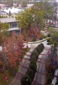 Windrich DotCom, Inc. in The Woodlands, Texas